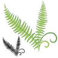 Fern icon