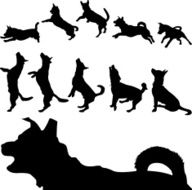 Dog Silhouette Series