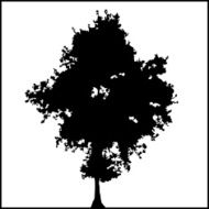 Tree Silhouette 01