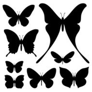 Butterflies Collection N2