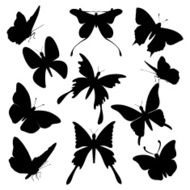 Butterfly Silhouette Collection Assortment of Styles and Poses
