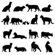 Cat Silhouette N16