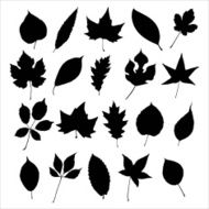 Leaves Silhouette N2