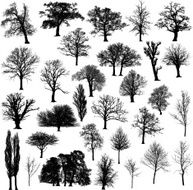 Winter tree silhouette collection