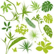 tropical leaves N7