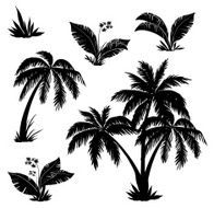 Palm trees flowers and grass silhouettes
