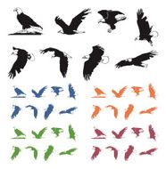 Bald Eagle Silhouettes