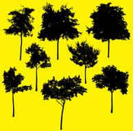 Park tree silhouette collection