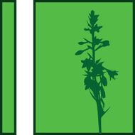Plant Silhouette N9