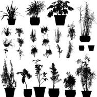 Plant silhouette collection