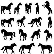 Set of horse silhouettes