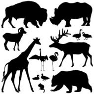 Animal Silhouettes N24