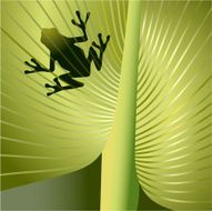 Frog on the Banana leaf