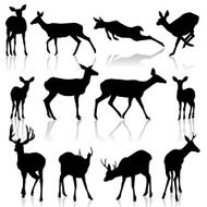 Deer Silhouettes