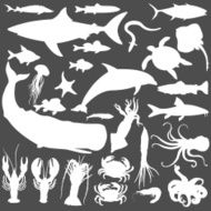 Vector Big Set of Sea Animals and Fishes Silhouettes