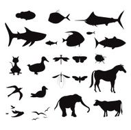 Vertebrate &amp; Invertebrate Silhouettes