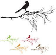 Silhouette of Bird on Branch