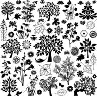 Trees and plants N3