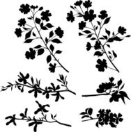Branches N4