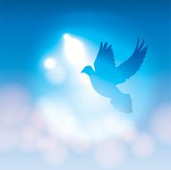 Vector Illustrated Dove Silhouette and Soft Bokeh Lights