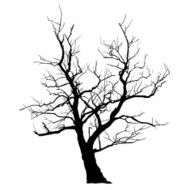 Abstract Tree N16