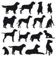 Dog Breeds Silhouette Set N2