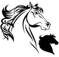 Horse N44