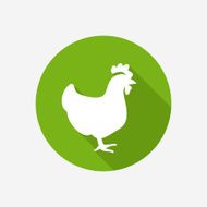Chicken N19