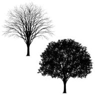 very detailed tree silhouettes