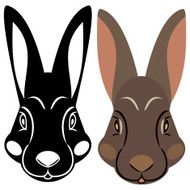 Rabbit N44