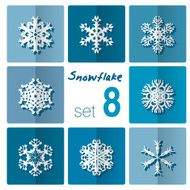 Snowflake icon Winter theme snowflakes of different shapes