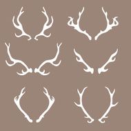 Hand drawn deer antlers