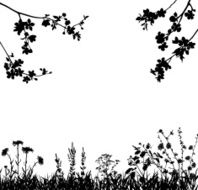 Spring blossomed garden