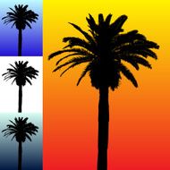 Palm Tree N28