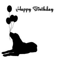 happy birthday N559