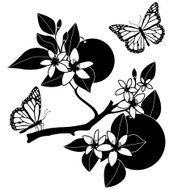 orange blossoms and monarch butterflies
