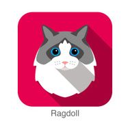 Ragdoll Cat breed face cartoon flat icon design