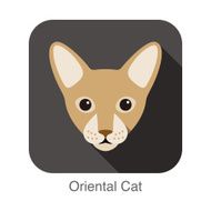 Oriental cat Cat breed face cartoon flat icon design