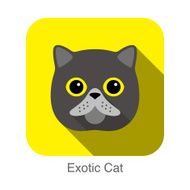 Exotic Cat Cat breed face cartoon flat icon design