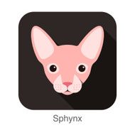 Sphynx Cat breed face cartoon flat icon design
