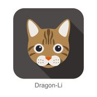 Dragon-Li Cat breed face cartoon flat icon design