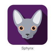 Sphynx Cat breed face cartoon flat icon design N2