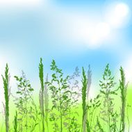 Vector silhouette of grass the summer sky N2