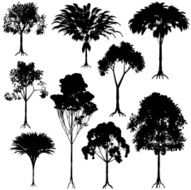 Tree outlines N2