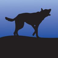 Coyote Icon