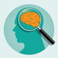 Looking inside the brain