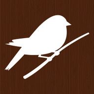 Perching Bird