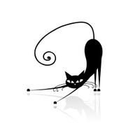 Black Cat N19