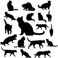 vector cats silhouettes