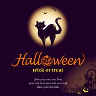 Halloween night with black cat
